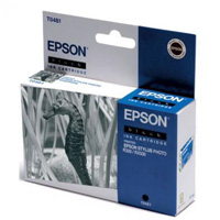 T0481 (T048140) �������� ��� Epson Stylus Photo R200/R300/RX300/RX500/ ������ ��������
